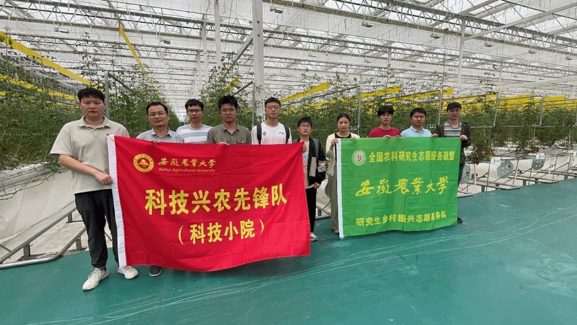 信息與人工智能學(xué)院扎實推進(jìn)舒城智能蔬菜科技小院建設(shè)與信息系統(tǒng)運行維護(hù)服務(wù)